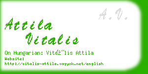 attila vitalis business card